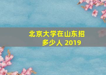 北京大学在山东招多少人 2019